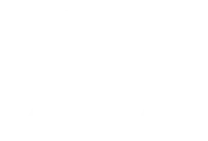Myrmic Logo Text and Icon white